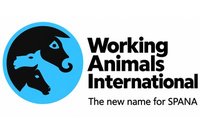 Working Animals International